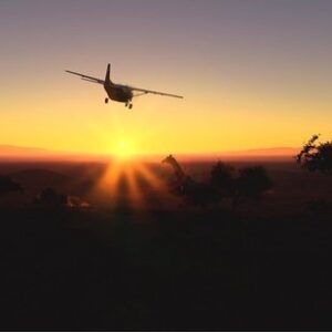 Microsoft Flight Simulator - Xbox Series X