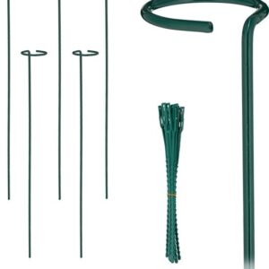 Set van 6 plantensteunen met ring - 60 cm - inclusief plantenbinders - groen