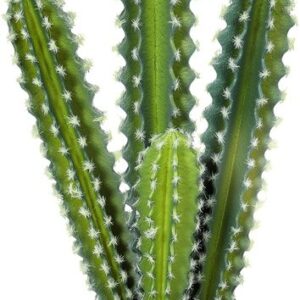 Homcom Kunstplant van Kunststof - 13L x 13B x 53H cm - Groen