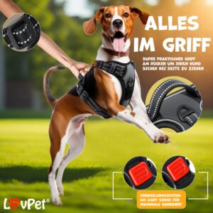 Lovpet® Hondentuigje zonder trein en wurgen voor kleine honden en puppy's, ademend en zacht borsthar