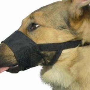 Beeztees Comfort Muilband - Hond - L - 18-24 cm