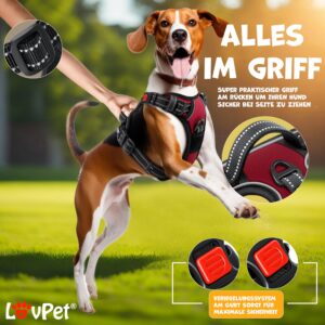 Lovpet® Hondentuigje zonder trein en wurgen voor kleine honden en puppy's, ademend en zacht borsthar