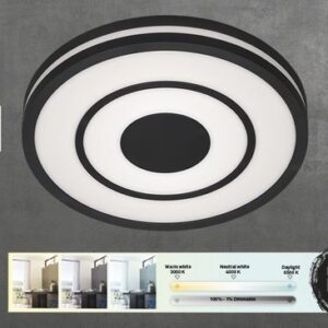Briloner Leuchten RIPPLE - LED plafondlamp met afstandsbediening - dimbaar en kleurtemperatuurregeli