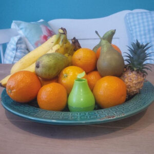 HGX fruitvliegjesval 1st