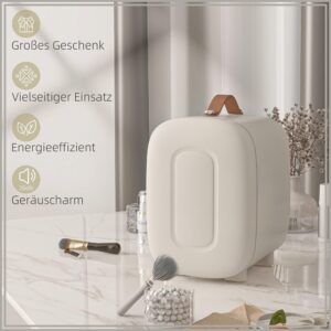 HOMCOM Draagbare Mini-koelkast 4 l met koel- en verwarmingsfunctie