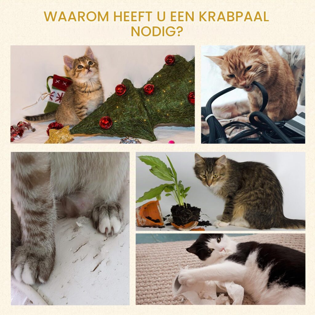 PawHut Krabpaal met sisalstammen voor middelgrote katten 91 cm Grijs